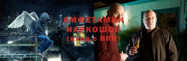 СК Алексин