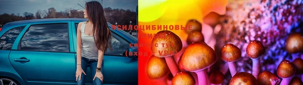 СК Алексин