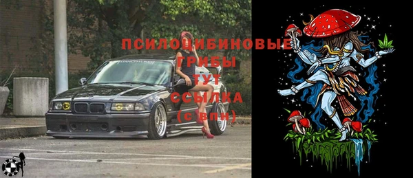СК Алексин