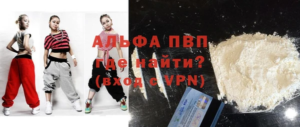 СК Алексин
