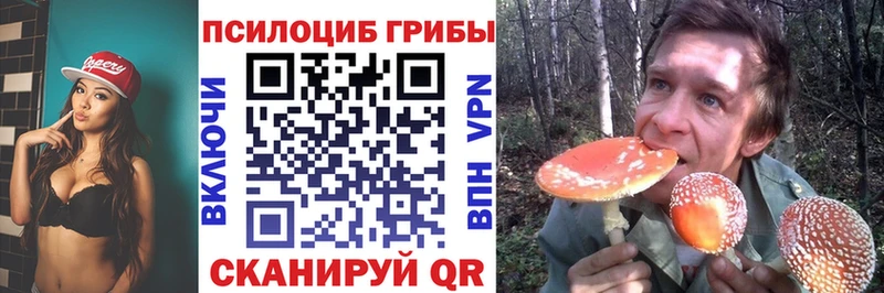 Галлюциногенные грибы мицелий  блэк спрут ONION  Заинск 
