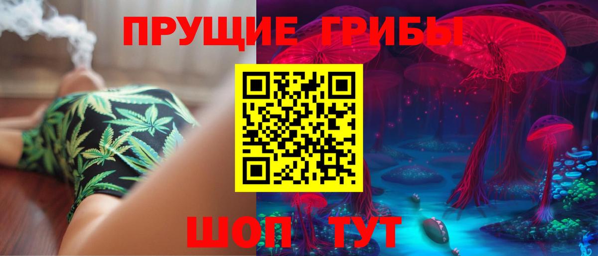 Псилоцибиновые грибы Psilocybine cubensis  Вход с VPN  Заинск 