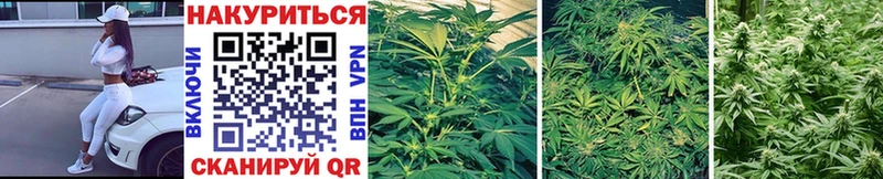 Конопля Bruce Banner  Заинск 